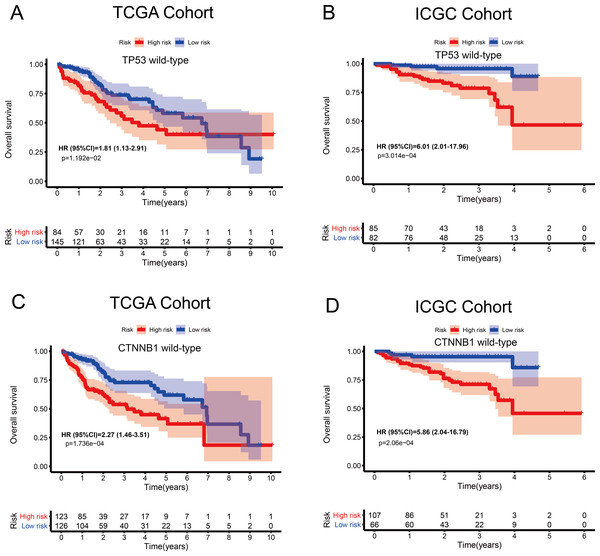 Kaplan–Meier curves depicting overall survival (OS) in hepatocellular carcinoma patients.