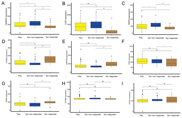 Sorafenib sensitivity validation for the nine metabolism-related genes (MRGs) in the independent cohort from the GEO database.