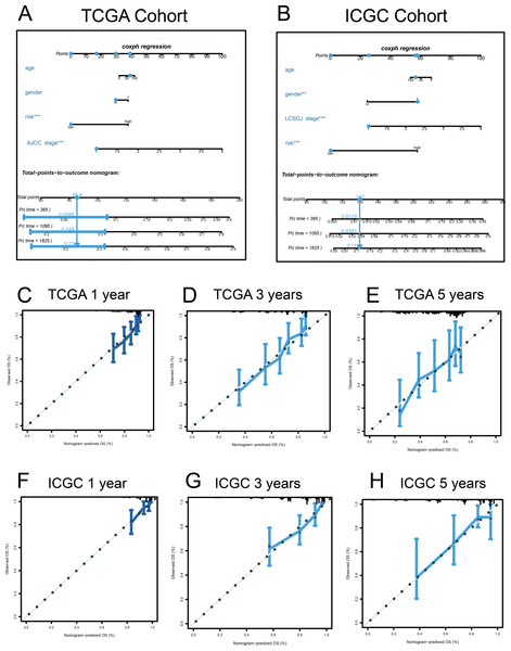 Nomograms to predict overall survival (OS) in hepatocellular carcinoma patients.