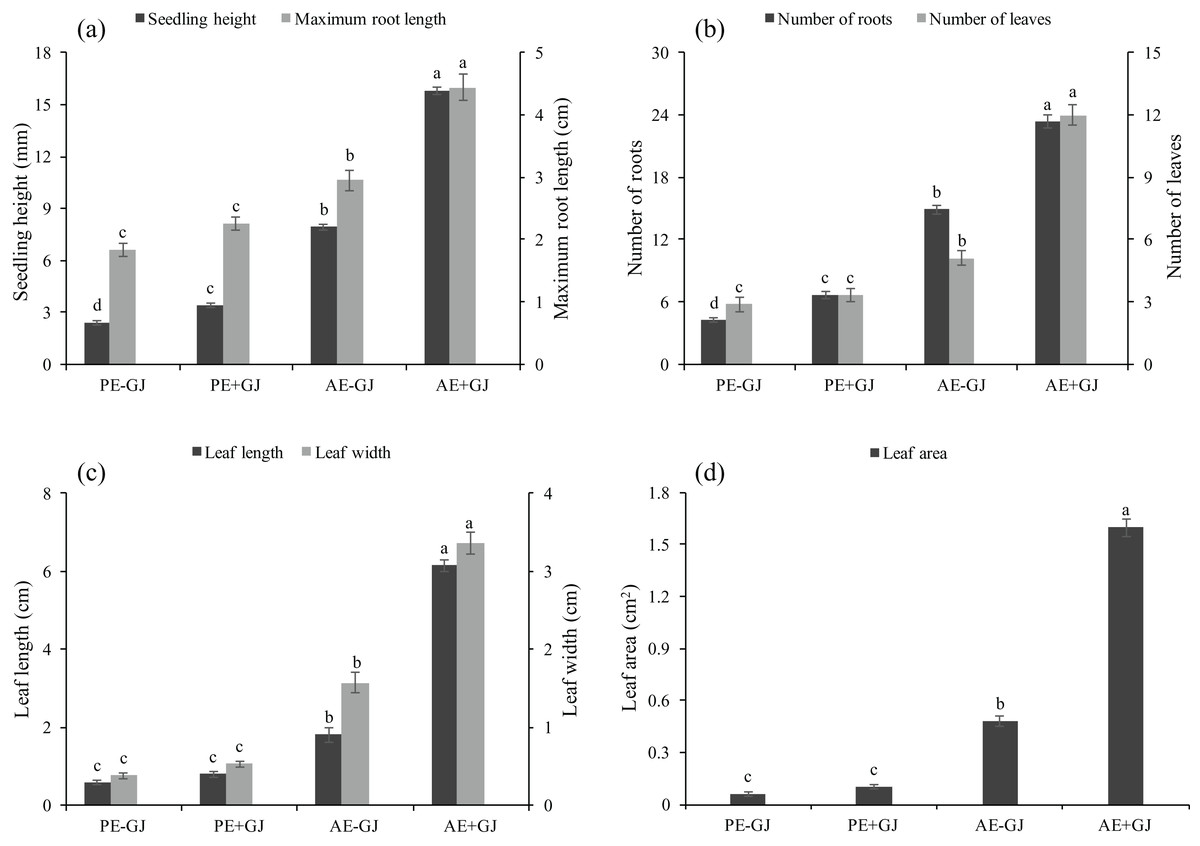 The Changes Of Morphological And Physiological Characteristics In Hemiparasitic Monochasma Savatieri Before And After Attachment To The Host Plant Peerj