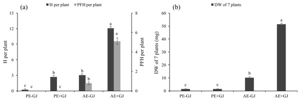 Number of haustoria (H) and presumably functional haustoria (PFH) per M. savatieri (A) and dry weight (DW) of seven M. savatieri plants (B) grown with or without a host after 8 and 16 weeks of sowing.