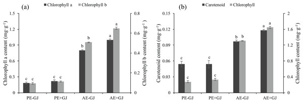 Chlorophyll a content, chlorophyll b content (a), carotenoid content, and chlorophyll content (b) of M. savatieri grown with or without a host after 8 and 16 weeks of sowing.