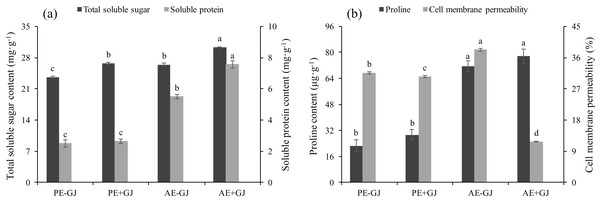 Total soluble sugar content, soluble protein content (A), proline content and cell membrane permeability (B) of M. savatieri grown with or without a host after 8 and 16 weeks of sowing.