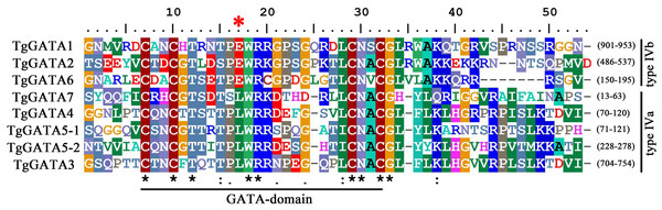 GATA-domain analysis of the identified GATA-TFs in Tolypocladium guangdongense.