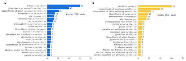 Number of annotated metabolites involved in the top 20 KEGG pathways by the MS2 spectra.