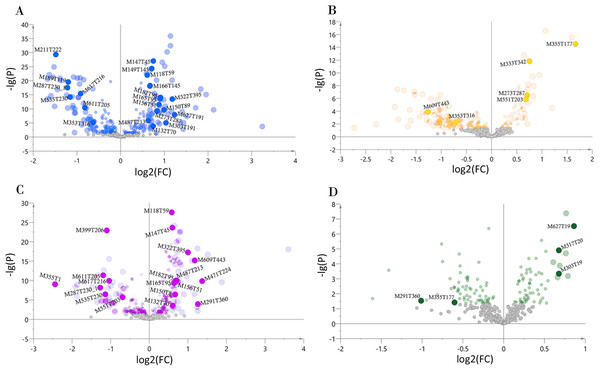 Volcano plots of chemical markers screened for each classified chemotype.