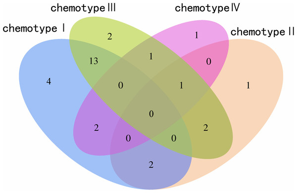 Venn plot of the screened chemical markers in four classified chemotypes.