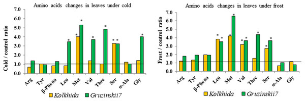 Fold-change of amino acid content in leaf under low temperature stress in tolerant and sensitive tea cultivars (asterisks show significant differences at P < 0.05).