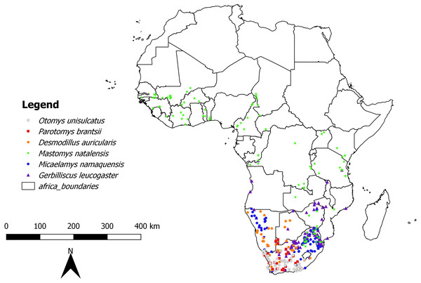 Map showing location of collecting localities of the studied species in Africa.