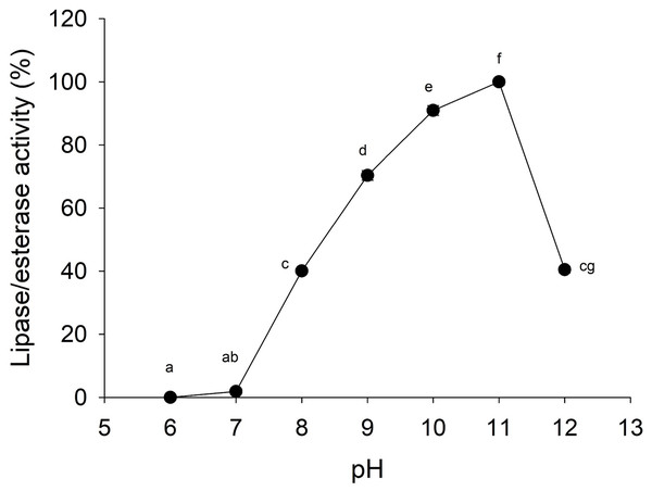 Effect of pH on lipase/esterase activity of Stomolophus sp. 2 jellyfish gastric pouch extract.