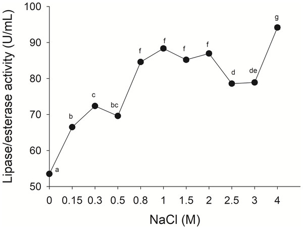 Effect of NaCl on lipase/esterase activity of Stomolophus sp. 2 jellyfish gastric pouch extract.
