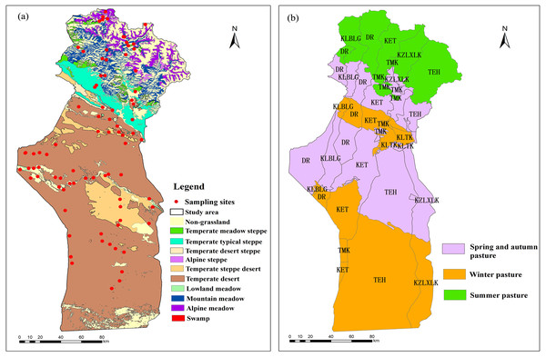 Grassland types in the study area (A) and the regions divided by different townships and seasonal pastures (B).