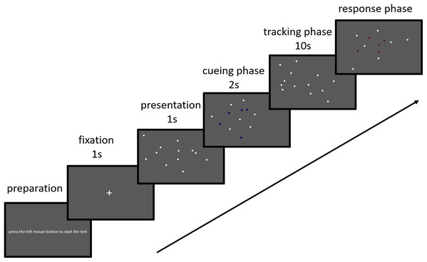 Illustration of the sequential phases included in a trial of the MOT task.