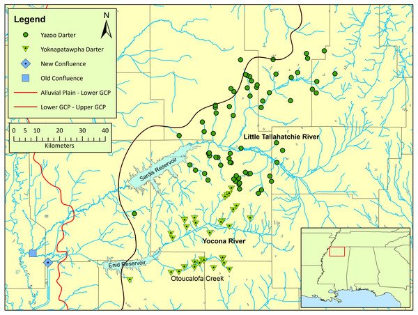 Map of the distribution of Etheostoma raneyi (Yazoo Darter) and E. faulkneri (Yoknapatawpha Darter) in northern Mississippi.