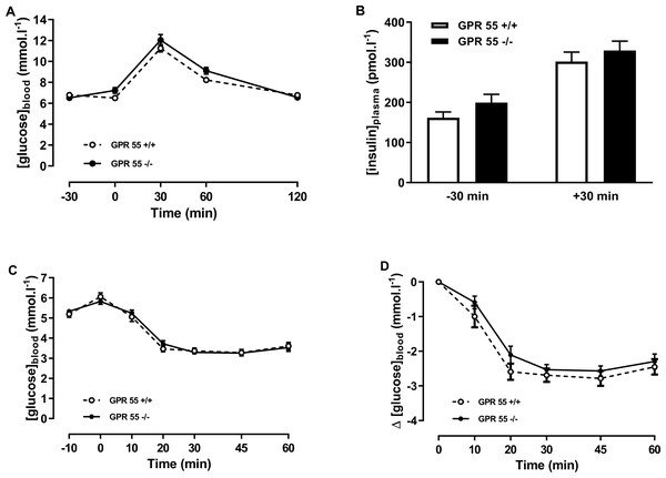 Glucose and insulin tolerance in GPR55 knockout and wild-type mice fed on a standard chow diet.