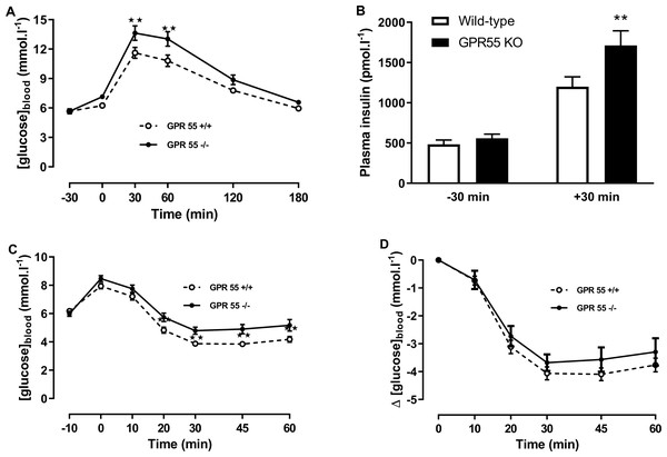 Glucose and insulin tolerance in GPR55 knockout and wild-type mice fed on a high fat diet.
