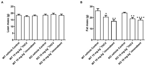 Lean and fat mass of GPR55 knockout and wild-type mice fed on a high fat diet and dosed with vehicle, THCV or rimonabant.