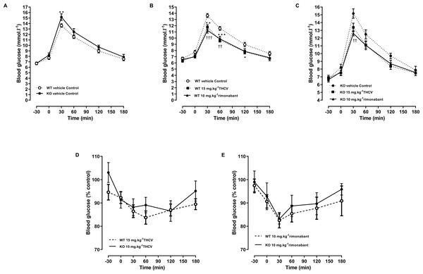 Glucose tolerance in GPR55 knockout and control mice on a high fat diet and treated with THCV or rimonabant.