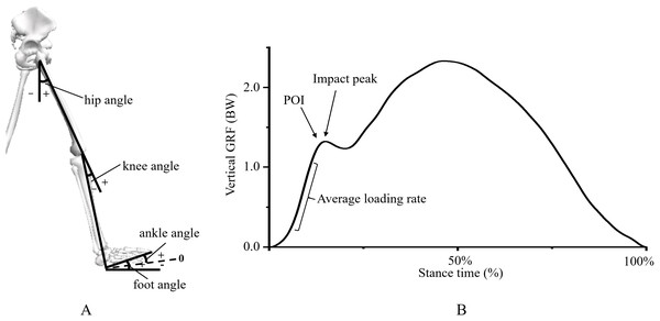 Scheme of (A) lower extremity kinematic and (B) impact force variables.