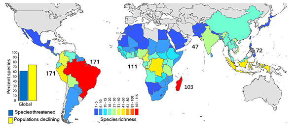 Geographic distribution of primate species richness.