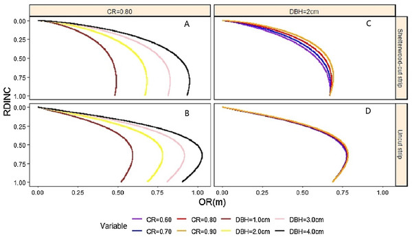 Effects of crown ratio (CR) (A and B) and diameter at breast height (DBH) (C and D) on the crown profiles of Pinus tabuliformis saplings from the shelterwood-cut strips and uncut strips.