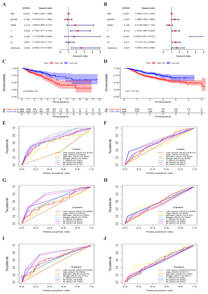 Metabolism-associated gene signature was significantly associated with survival in colorectal cancer.