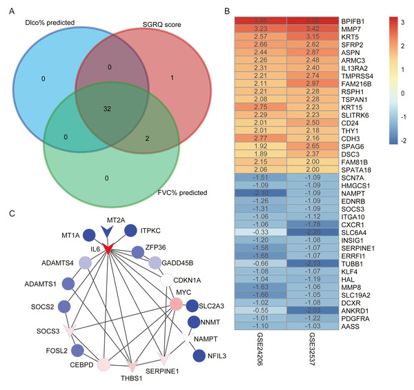 Construct PPI network and identify hub genes.