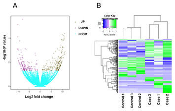 Differentially expressed transcripts and associated protein pathways in ...