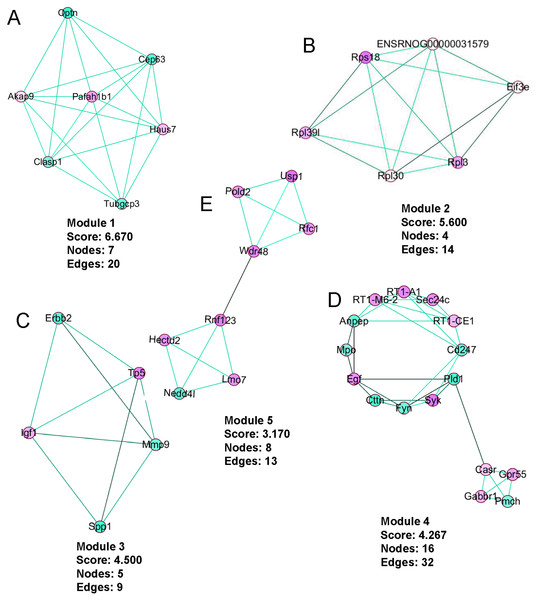 The five protein interaction modules analyzed by MCODE in Cytoscape.