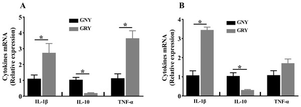 The differences of cytokines mRNA expression levels of rumen (A) and jejunum (B) between growth-retarded and normal yaks.