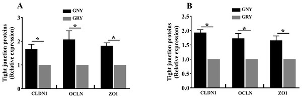 The differences of tight junction proteins expression levels of rumen (A) and jejunum (B) between growth-retarded and normal yaks.