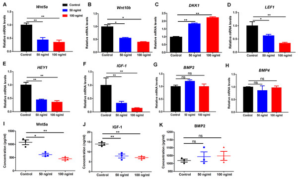 PF4 decreases the hair growth-promoting properties of hDPCs.