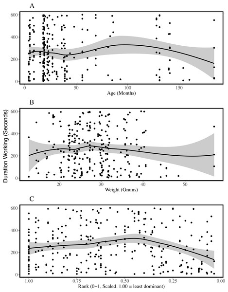 Duration of working behaviour by age (A), weight (B) and rank (C) of the individual being observed.