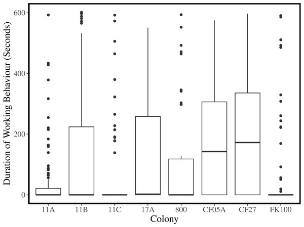 Duration of working behaviour per observation period for each colony.