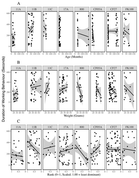 Duration of working behaviour by age (A), weight (B) and rank (C) of the individual being observed for each colony.