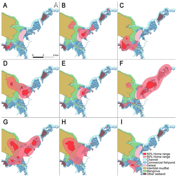 50% core areas and 95% overall home ranges of nine little egrets in the Inner Deep Bay, Hong Kong, using Brownian bridge movement model.