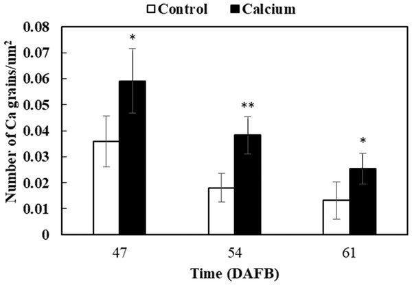 Accumulation of calcium grains/um2 in the skin of grape ‘Xiangfei’ berries after calcium treatment.