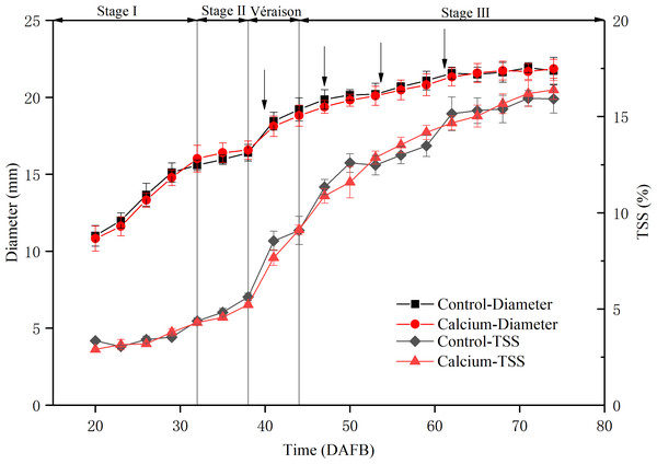 Fruit diameter and total soluble solids content during development of grape ‘Xiangfei’ berries in calcium treatment and control.