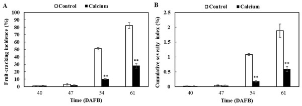 Fruit-cracking incidence (A) and cumulative severity index (B) of grape berry treated with calcium.