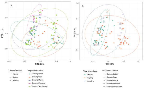 Principle Coordinate Analysis of five A. annulatus populations.