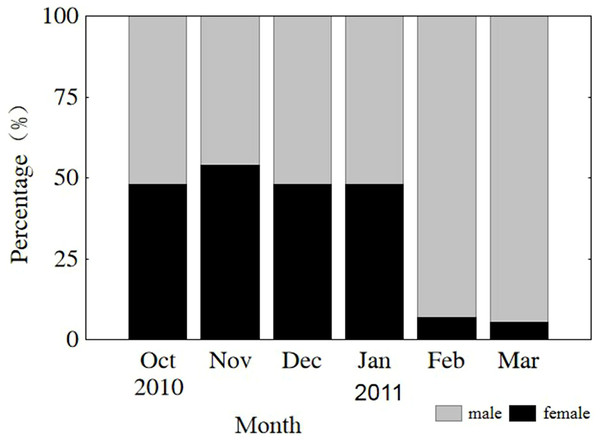Monthly sex ratio variation from 4 October 2010 through 4 March 2011.