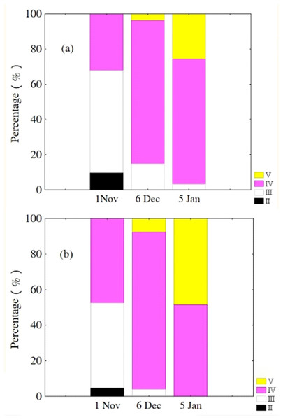 Percentage of P. chinensis females with different ovarian maturity stages in early November, December 2010 and January 2011 from the lower modal group (A, SL < 120 mm) and upper modal group (B, SL > 120 mm).