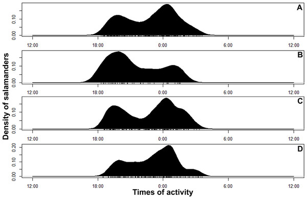 Circular kernel density models showing overall activity patterns of Bolitoglossa pandi.