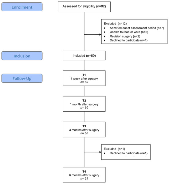 Flowchart of KA patients (screening, inclusion and assessment at all data points).