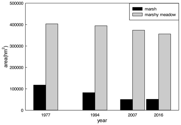 Changes in marsh wetland landscape areas in the Zoigê Plateau over time.