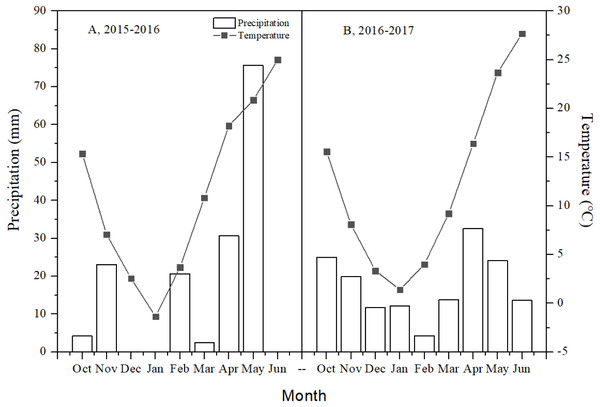 Monthly total precipitation and mean monthly air temperature in the 2015–2016 and 2016–2017 winter wheat growing seasons, at the Agricultural Experiment Station of Shandong Agricultural University.