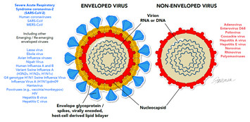 Combating SARS-CoV-2: leveraging microbicidal experiences with other ...