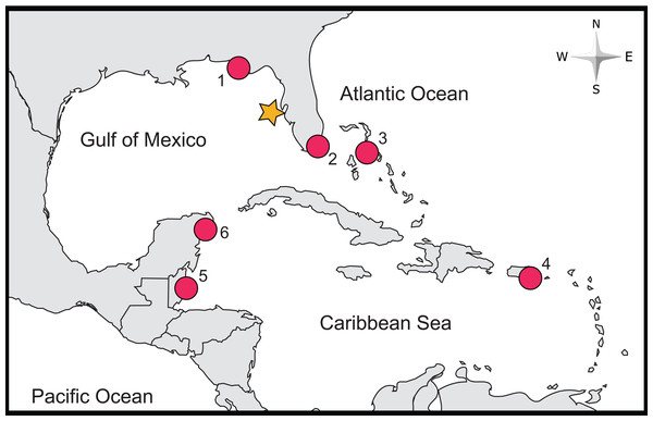 Location of study site and of previous studies of lionfish stomach contents relying on COI Barcoding.