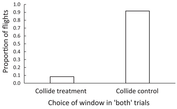The proportion of flights in which zebra finches were adjudged to collide with a control or a treatment window, in forced-choice “both” trials.