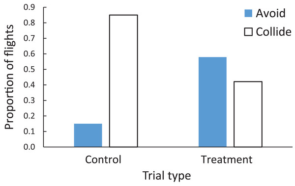 Proportion of flights when zebra finches were adjudged to collide with windows (open bars) or avoid windows (filled bars) in either the control or treatment trials.